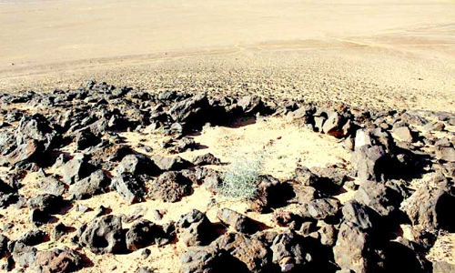 ഖ​സീ​മി​ൽ ശി​ലാ​യു​ഗ​കാ​ല ശേ​ഷി​പ്പു​ക​ൾ