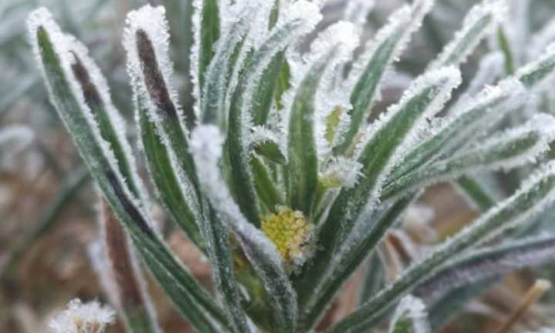 ഒ​മാ​െൻറ വി​വി​ധ ഭാ​ഗ​ങ്ങ​ളി​ൽ അ​ന്ത​രീ​ക്ഷ താ​പ​നി​ല കു​ത്ത​നെ താ​ഴ്​​ന്നു