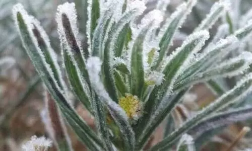 ഒ​മാ​െൻറ വി​വി​ധ ഭാ​ഗ​ങ്ങ​ളി​ൽ അ​ന്ത​രീ​ക്ഷ താ​പ​നി​ല കു​ത്ത​നെ താ​ഴ്​​ന്നു