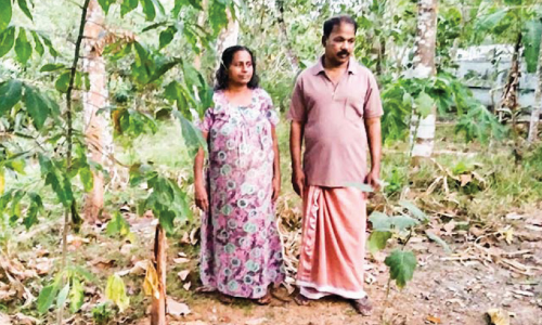 റീ​സ​ര്‍വേ​യി​ലെ അ​പാ​ക​ത; കു​ടും​ബം കി​ട​പ്പാ​ട​മി​ല്ലാ​തെ ദു​രി​ത​ത്തി​ല്‍