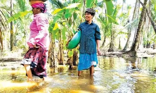 ഉപ്പുവെള്ളത്തിൽ മുങ്ങി നീലേശ്വരം തീരദേശ മേഖല; നിരവധി കുടുംബങ്ങൾ ദുരിതത്തിൽ
