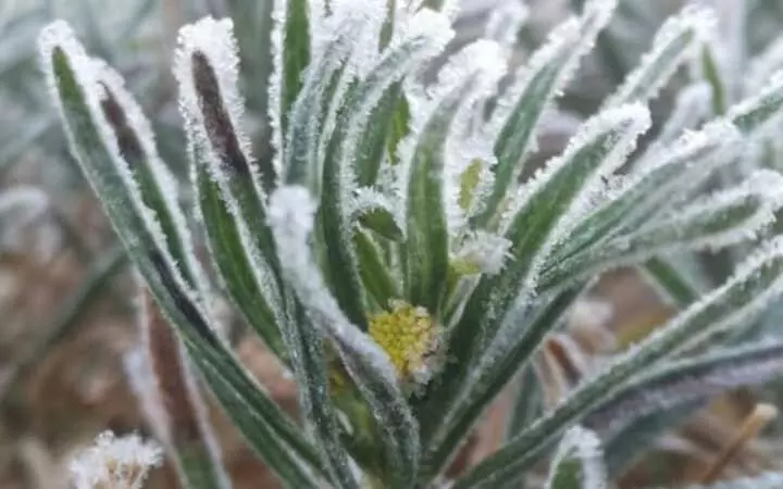 ഒമാെൻറ വിവിധ ഭാഗങ്ങളിൽ അന്തരീക്ഷ താപനില കുത്തനെ താഴ്ന്നു ഒമാെൻറ വിവിധ ഭാഗങ്ങളിൽ അന്തരീക്ഷ താപനില കുത്തനെ താഴ്ന്നു