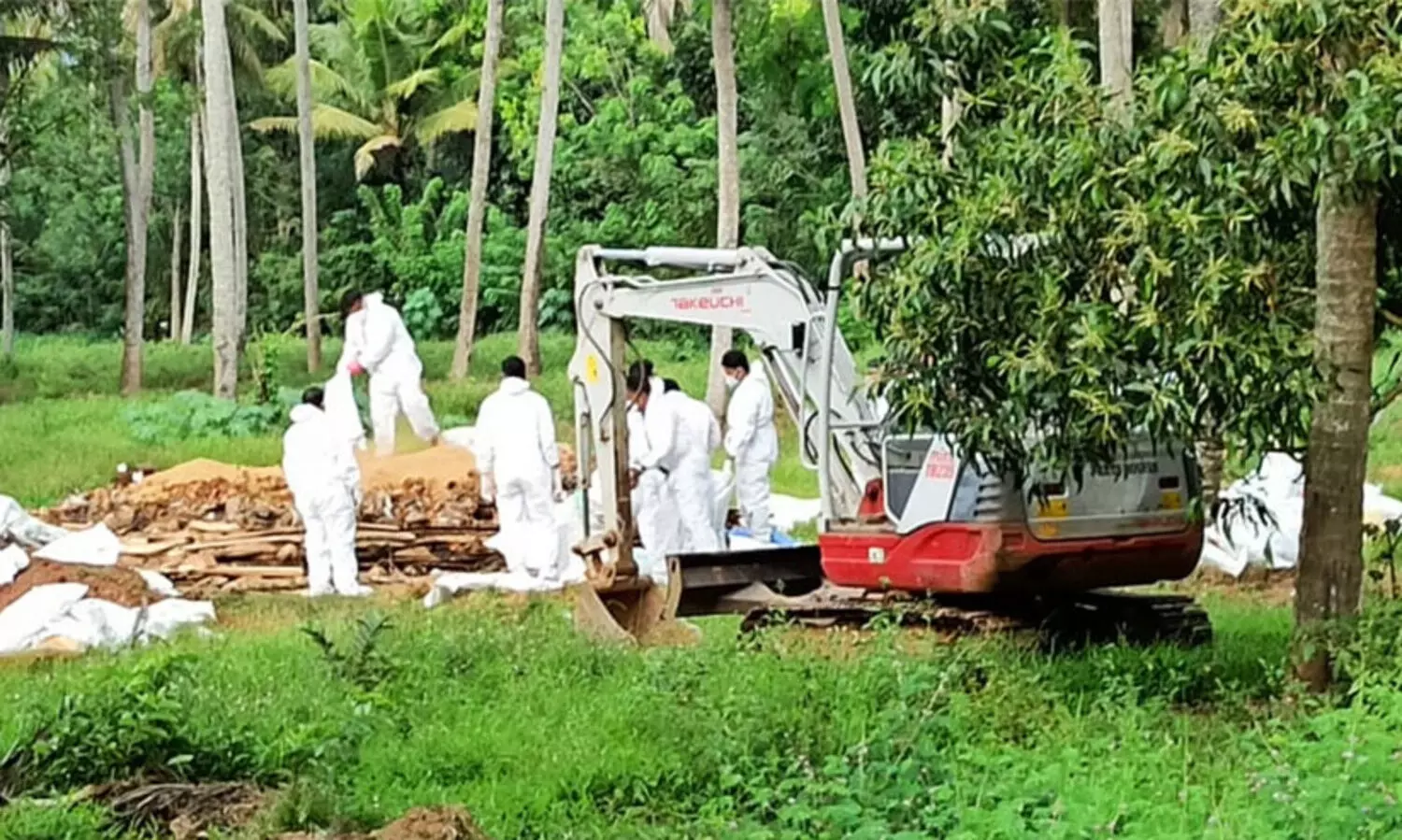 bird flu kerala