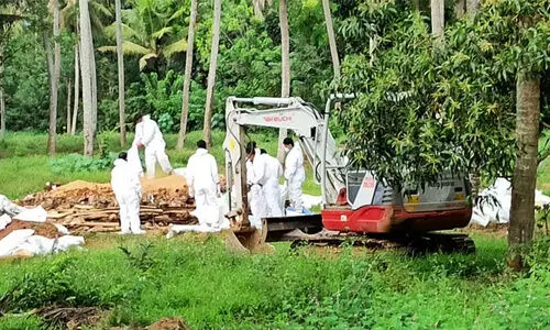 bird flu kerala