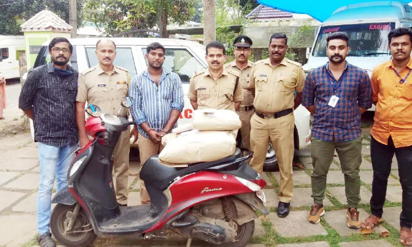 എട്ടുകിലോ കഞ്ചാവുമായി യുവാവ് അറസ്റ്റില് എട്ടുകിലോ കഞ്ചാവുമായി യുവാവ് അറസ്റ്റില്