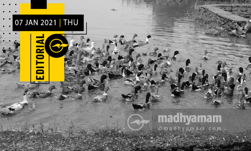 പ​ക്ഷി​പ്പ​നി: വേ​ണ്ട​ത്​ ക​രു​ത​ലും കാ​വ​ലും