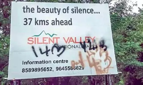 Black code numbers Black code numbers