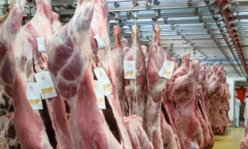 slaughtering representational image