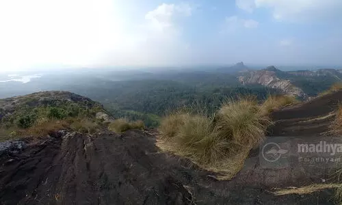പ്രാ​യം മ​റ​ന്നേ​ക്കൂ; വ​രൂ..​ ചീ​ങ്ങേ​രി​മ​ല ക​യ​റാം