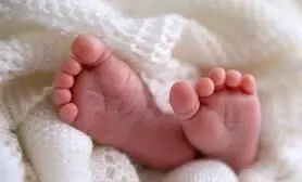 newborn