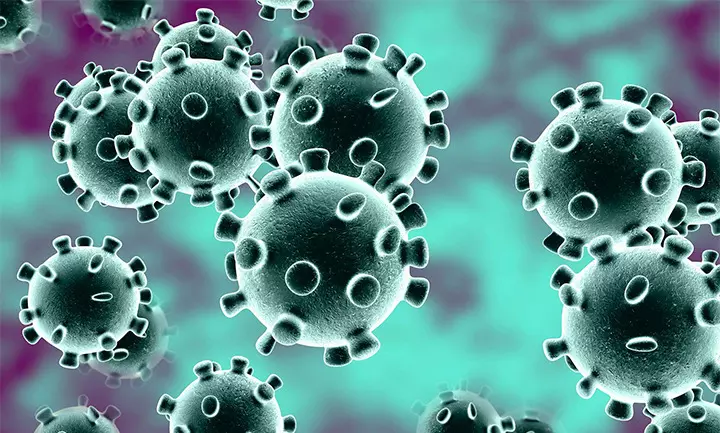 covid Outbreak virus in Cherthala