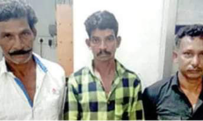 vehicloe theft accused vehicloe theft accused