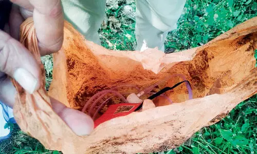 nebulizer irshad murder