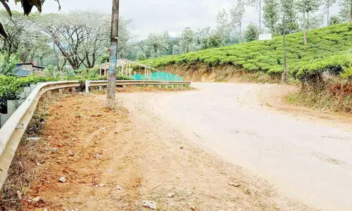 nellimunda road nellimunda road