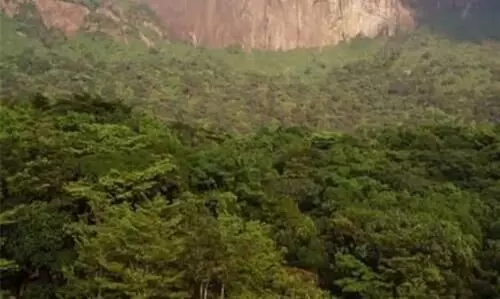 വനാവകാശ നിയമം പട്ടികവർഗ^ വനംവകുപ്പുകൾ അട്ടിമറിച്ചെന്ന് എ.ജി