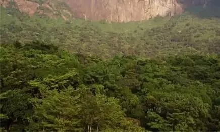 വനാവകാശ നിയമം പട്ടികവർഗ^ വനംവകുപ്പുകൾ അട്ടിമറിച്ചെന്ന് എ.ജി