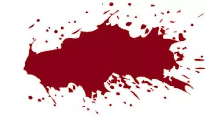 The young woman was injured in the attack elephant