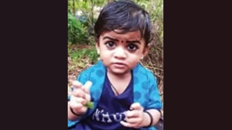 മണ്ണെണ്ണ ഉള്ളിൽചെന്ന് ഒന്നര വയസുകാരൻ മരിച്ചു