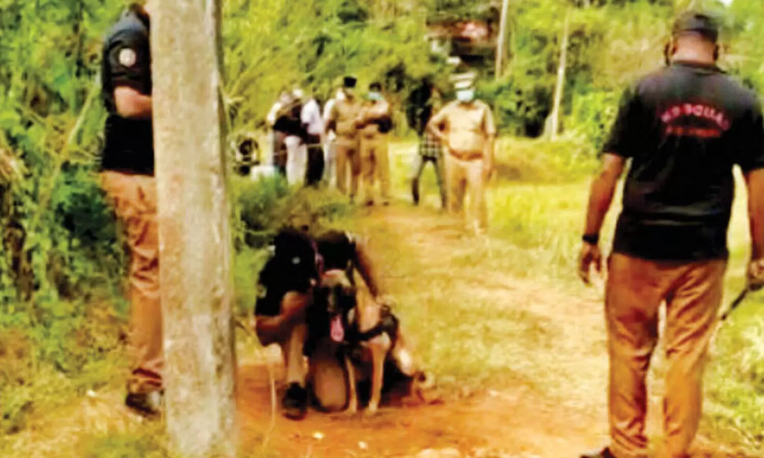 യുവാവിനെ പാടത്ത്​ മരിച്ച നിലയിൽ കണ്ടെത്തിയ സംഭവം;  സം​ശ​യം നീ​ളു​ന്ന​ത് പ​ന്നി​വേ​ട്ട​ക്കാ​രി​ലേ​ക്ക്