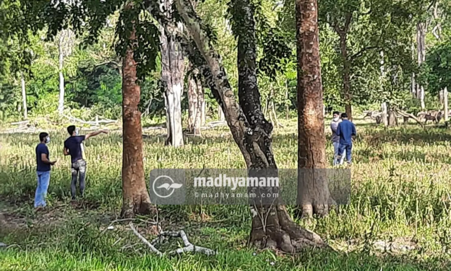വരൂ നമുക്ക്​ വയനാട്ടിലേക്ക്​ പോകാം; കാട്ടിലിറങ്ങി മാൻകൂട്ടങ്ങളെ ഓടിച്ചുകളിക്കാം...