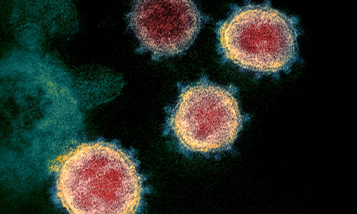 ജപ്പാനിൽ കോവിഡിൻെറ മറ്റൊരു വകഭേദം കണ്ടെത്തി