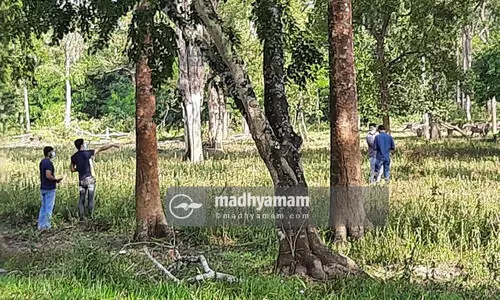 വരൂ നമുക്ക്​ വയനാട്ടിലേക്ക്​ പോകാം; കാട്ടിലിറങ്ങി മാൻകൂട്ടങ്ങളെ ഓടിച്ചുകളിക്കാം...