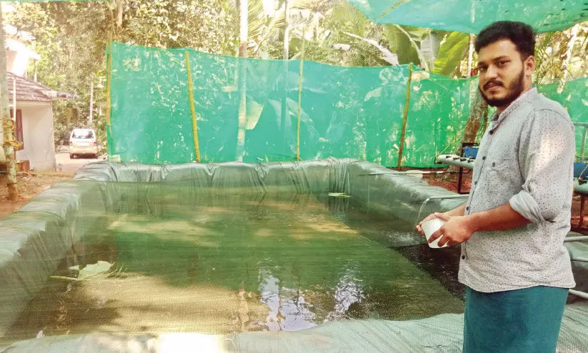 ഒരു സെൻറ് ഭൂമിയിൽ മത്സ്യ-പച്ചക്കറി കൃഷിയുമായി യുവ എൻജിനീയർ