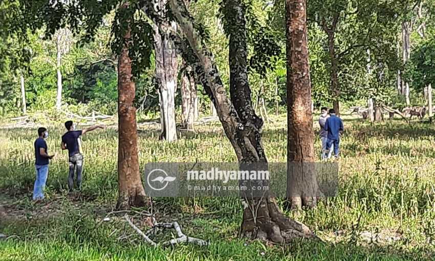 വരൂ നമുക്ക് വയനാട്ടിലേക്ക് പോകാം; കാട്ടിലിറങ്ങി മാൻകൂട്ടങ്ങളെ ഓടിച്ചുകളിക്കാം... വരൂ നമുക്ക് വയനാട്ടിലേക്ക് പോകാം; കാട്ടിലിറങ്ങി മാൻകൂട്ടങ്ങളെ ഓടിച്ചുകളിക്കാം...