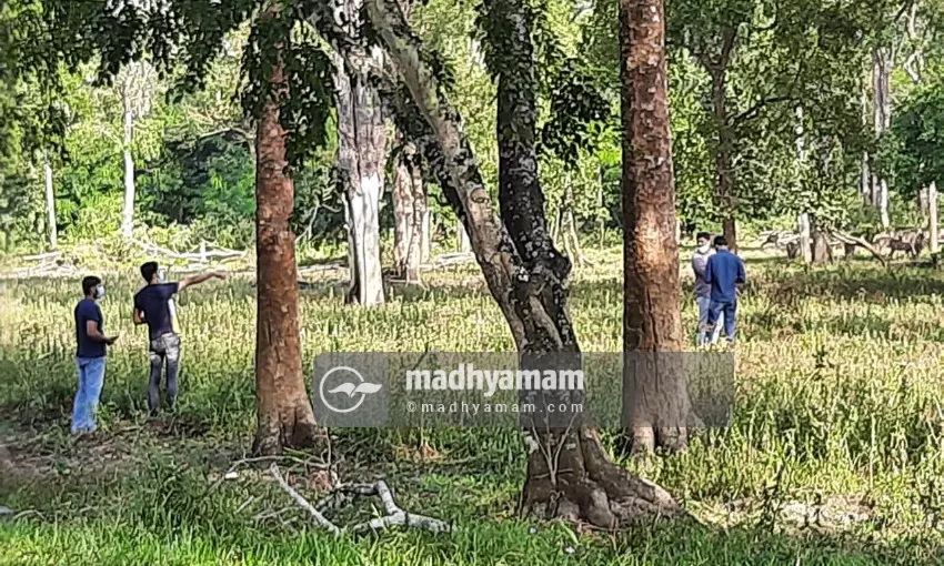 വരൂ നമുക്ക് വയനാട്ടിലേക്ക് പോകാം; കാട്ടിലിറങ്ങി മാൻകൂട്ടങ്ങളെ ഓടിച്ചുകളിക്കാം... വരൂ നമുക്ക് വയനാട്ടിലേക്ക് പോകാം; കാട്ടിലിറങ്ങി മാൻകൂട്ടങ്ങളെ ഓടിച്ചുകളിക്കാം...