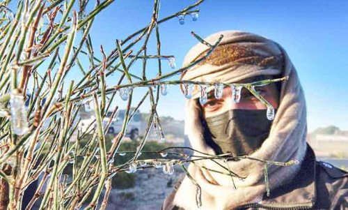 ശൈത്യം കനക്കുന്നു; അൽഐനിൽ വെള്ളം തണുത്തുറഞ്ഞ് ഐസ് ആയി