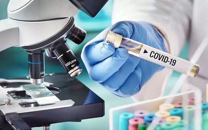 കോ​വി​ഡ് ചി​കി​ത്സ: പ്ലാ​സ്മ തെ​റ​പ്പി വ​ൻ വി​ജ​യം