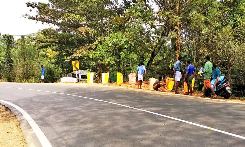 traffic signals traffic signals