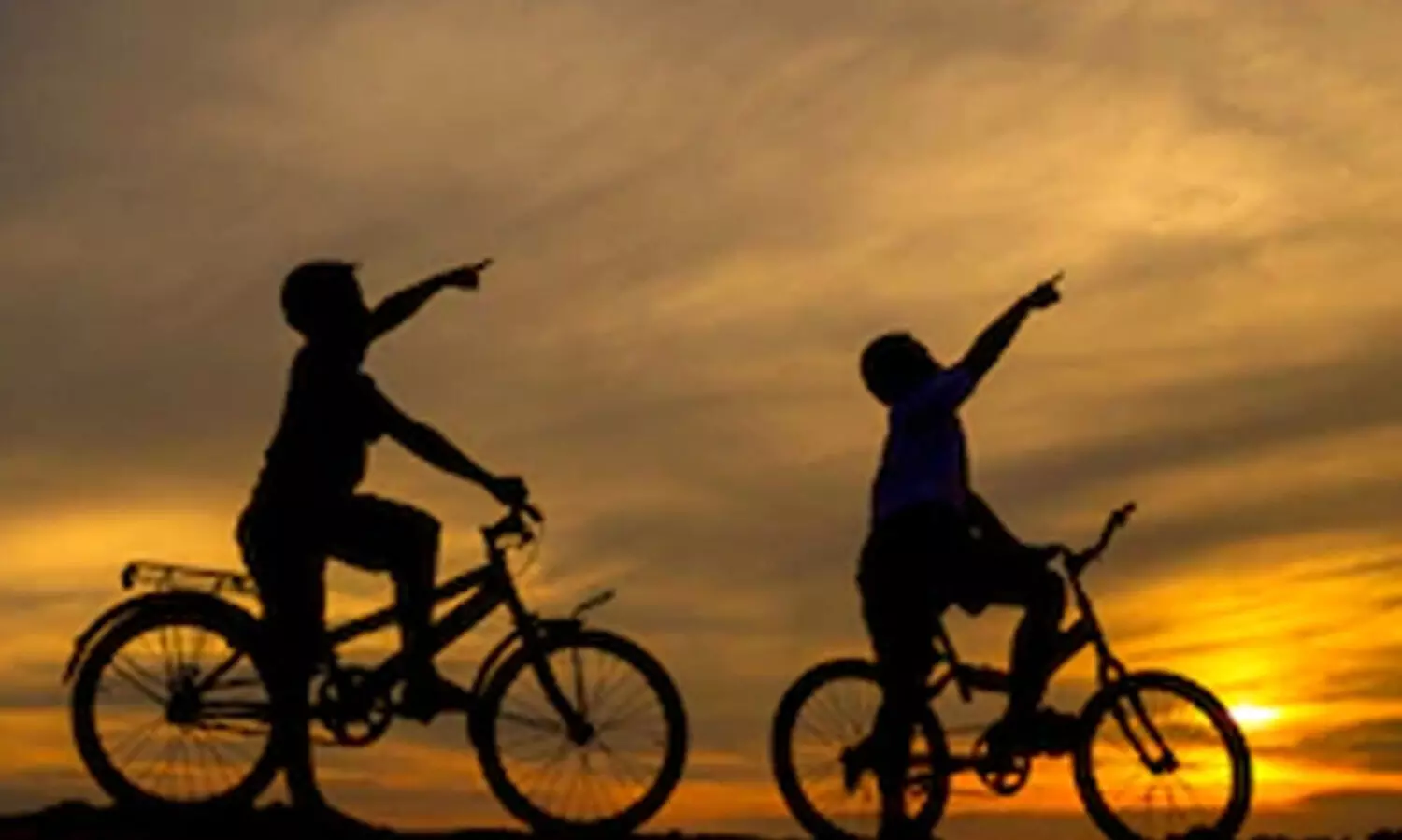boys in cycle; representational image