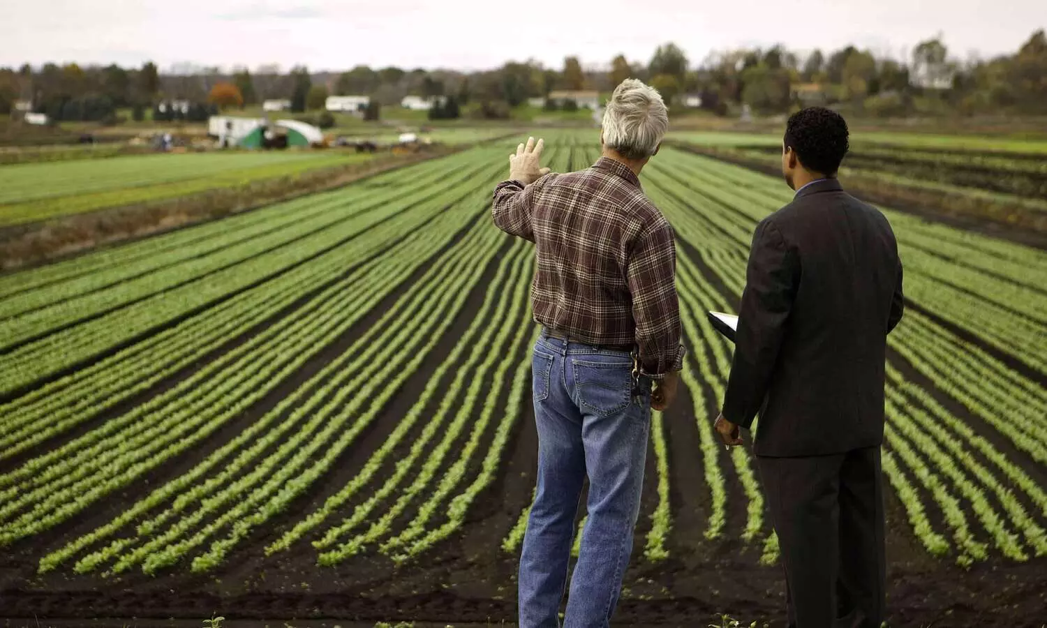 കാർഷിക കേരളത്തിന്റെ വീണ്ടെടുപ്പിന് ഫാം ബിസിനസ്‌ പഠിക്കാം