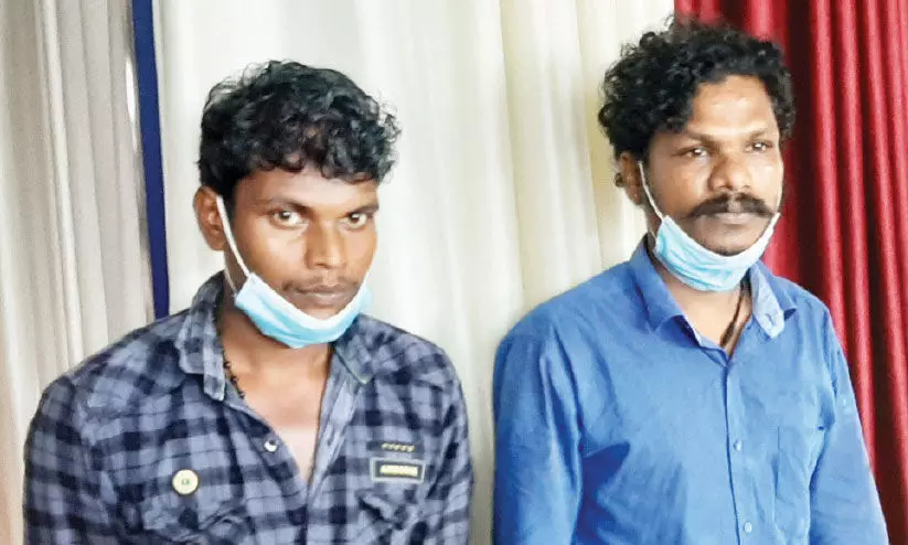 പന്നിക്ക് വെച്ച കെണിയിൽ നിന്ന് ഷോക്കേറ്റ് യുവാവ് മരിച്ച സംഭവം: രണ്ടുപേർ പിടിയിൽ പന്നിക്ക് വെച്ച കെണിയിൽ നിന്ന് ഷോക്കേറ്റ് യുവാവ് മരിച്ച സംഭവം: രണ്ടുപേർ പിടിയിൽ