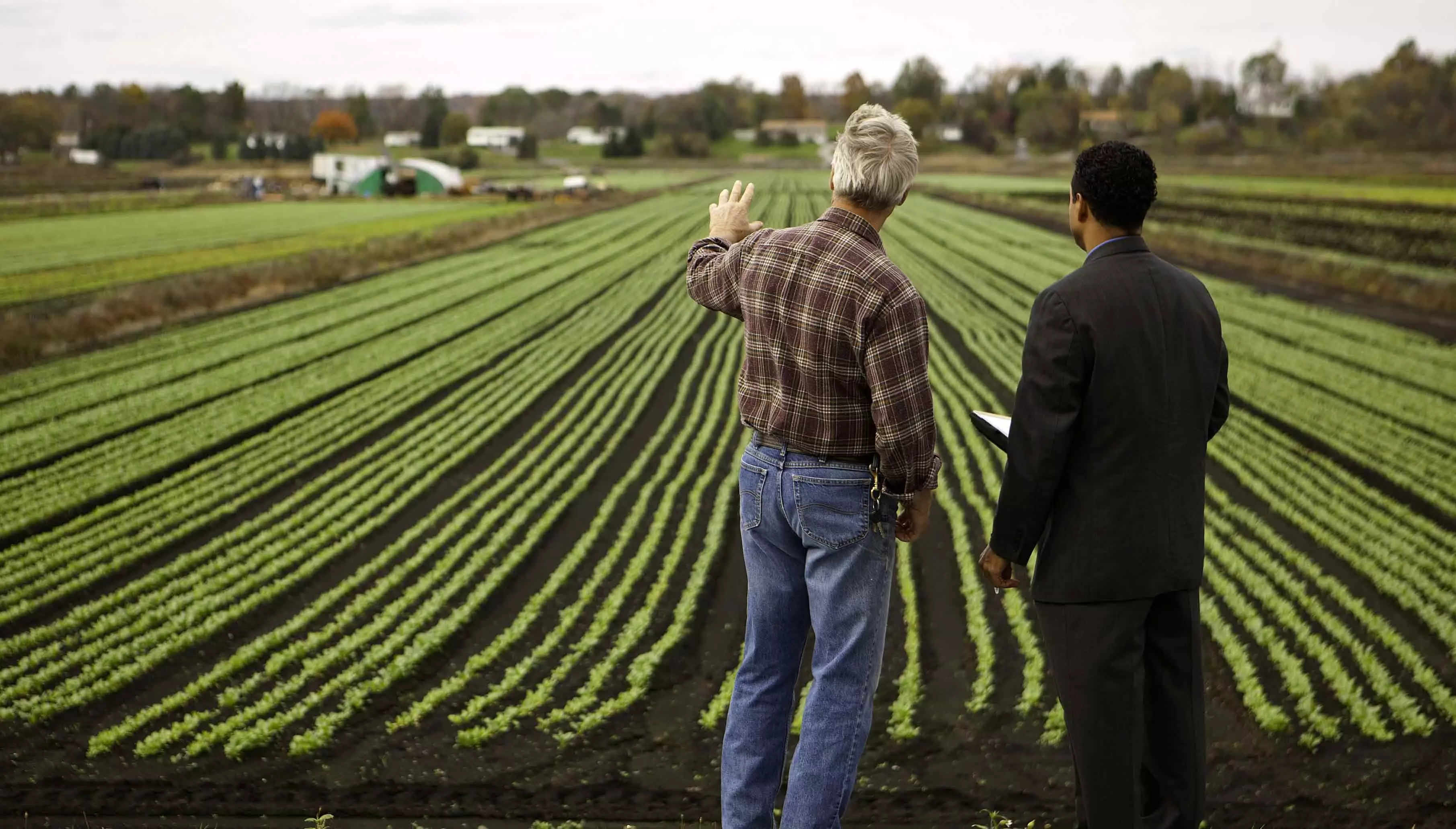 കാർഷിക കേരളത്തിന്റെ വീണ്ടെടുപ്പിന് ഫാം ബിസിനസ് പഠിക്കാം കാർഷിക കേരളത്തിന്റെ വീണ്ടെടുപ്പിന് ഫാം ബിസിനസ് പഠിക്കാം