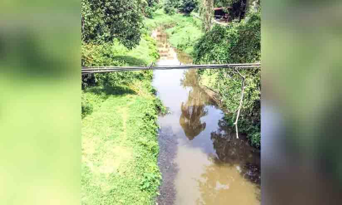 വെ​ള്ള​പ്പൊ​ക്കം: തോ​ട്ടു​മു​ഖം തു​രു​ത്തി​തോ​ട്ടി​ൽ സ്ലൂ​യി​സ് ഗേ​റ്റ് സ്‌​ഥാ​പി​ക്ക​ാൻ ഭീ​മഹ​രജി