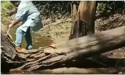 ഭാഗ്യം കാത്തു; മൂർഖനെ രക്ഷപ്പെടുത്തുന്നതിനിടെ കടിയേൽക്കാതെ രക്ഷപ്പെട്ടത്​ തലനാരിഴക്ക്​