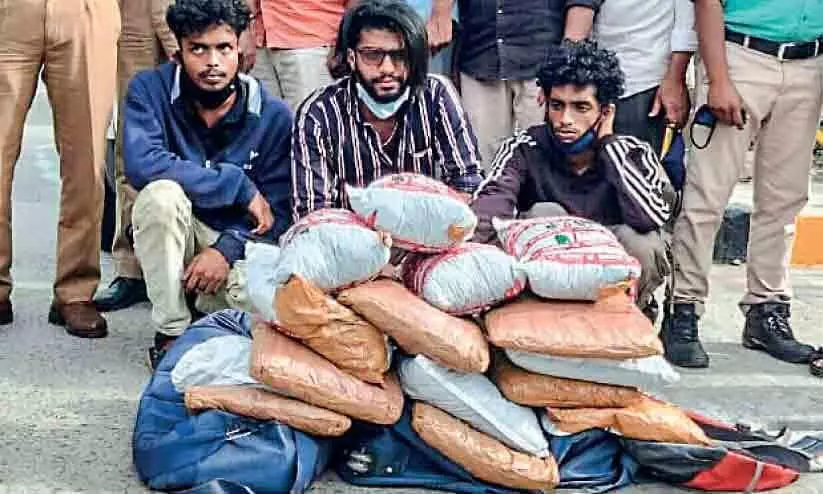 Youths nabbed with 30 kg of cannabis in Valayar