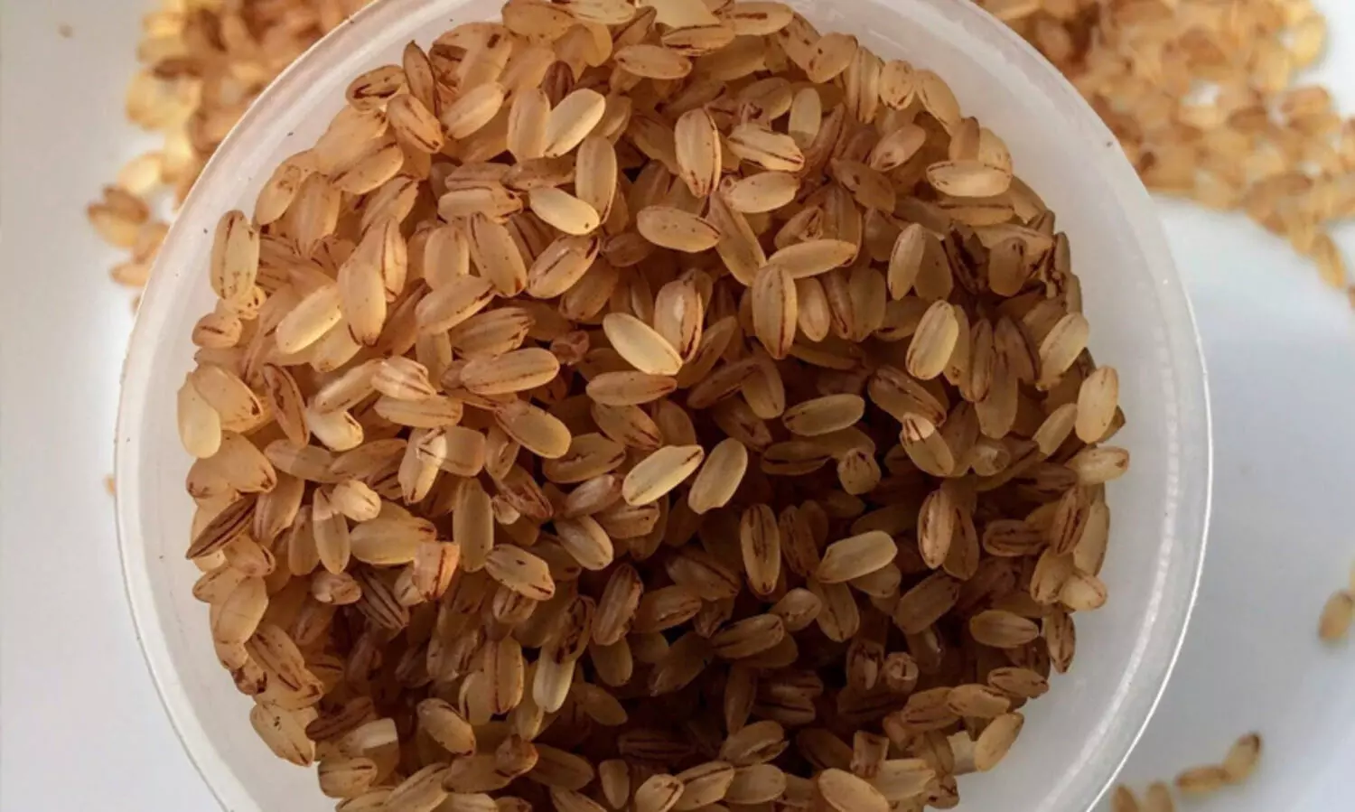 നീല, വെള്ള റേഷൻ കാർഡുകാർക്ക് 15 രൂപക്ക് 10 കിലോ അധിക അരി