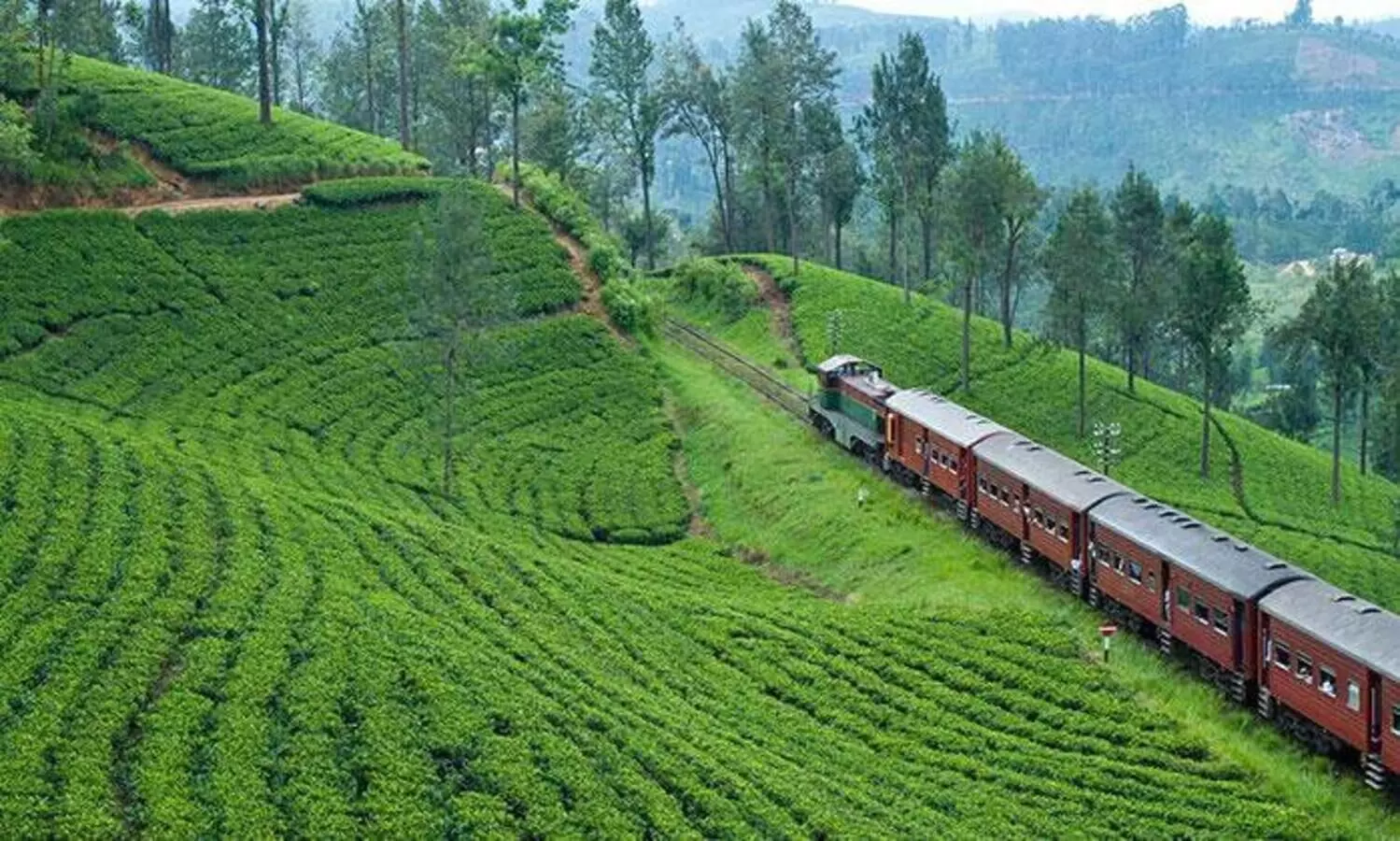 munnar train