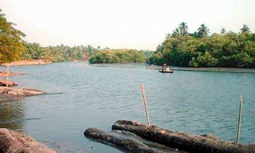 കല്ലായി പുഴയിലും കനോലി കനാലിലും മാലിന്യം; 61 സ്ഥാപനങ്ങൾക്ക്​ നോട്ടീസ്​