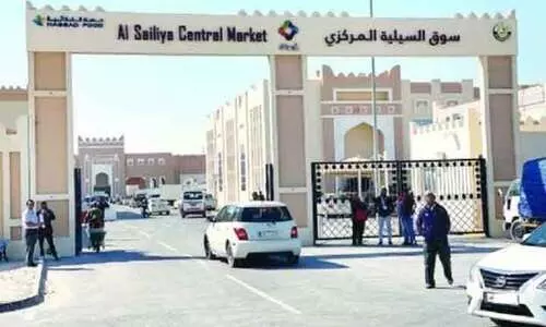 അ​ൽ സൈ​ലി​യ സെ​ൻ​ട്ര​ൽ മാ​ർ​ക്ക​റ്റി​ൽ ലേ​ലം പു​ന​രാ​രം​ഭി​ച്ചു