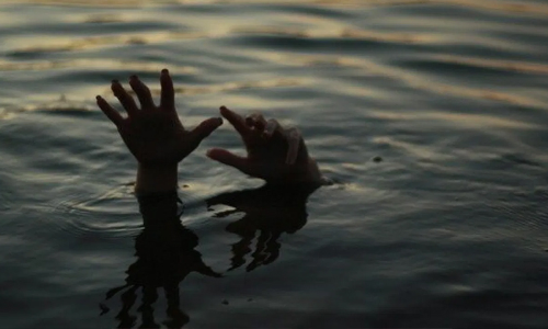 നെല്ലിയാമ്പതി കാരപ്പാറയിൽ രണ്ടു വിനോദസഞ്ചാരികൾ മുങ്ങിമരിച്ചു