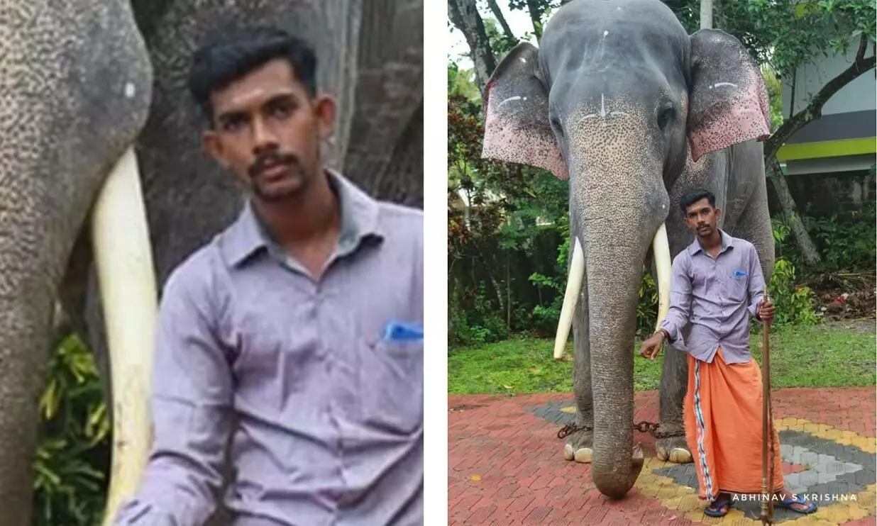 പാപ്പാനെ ആന കുത്തിക്കൊന്നു പാപ്പാനെ ആന കുത്തിക്കൊന്നു