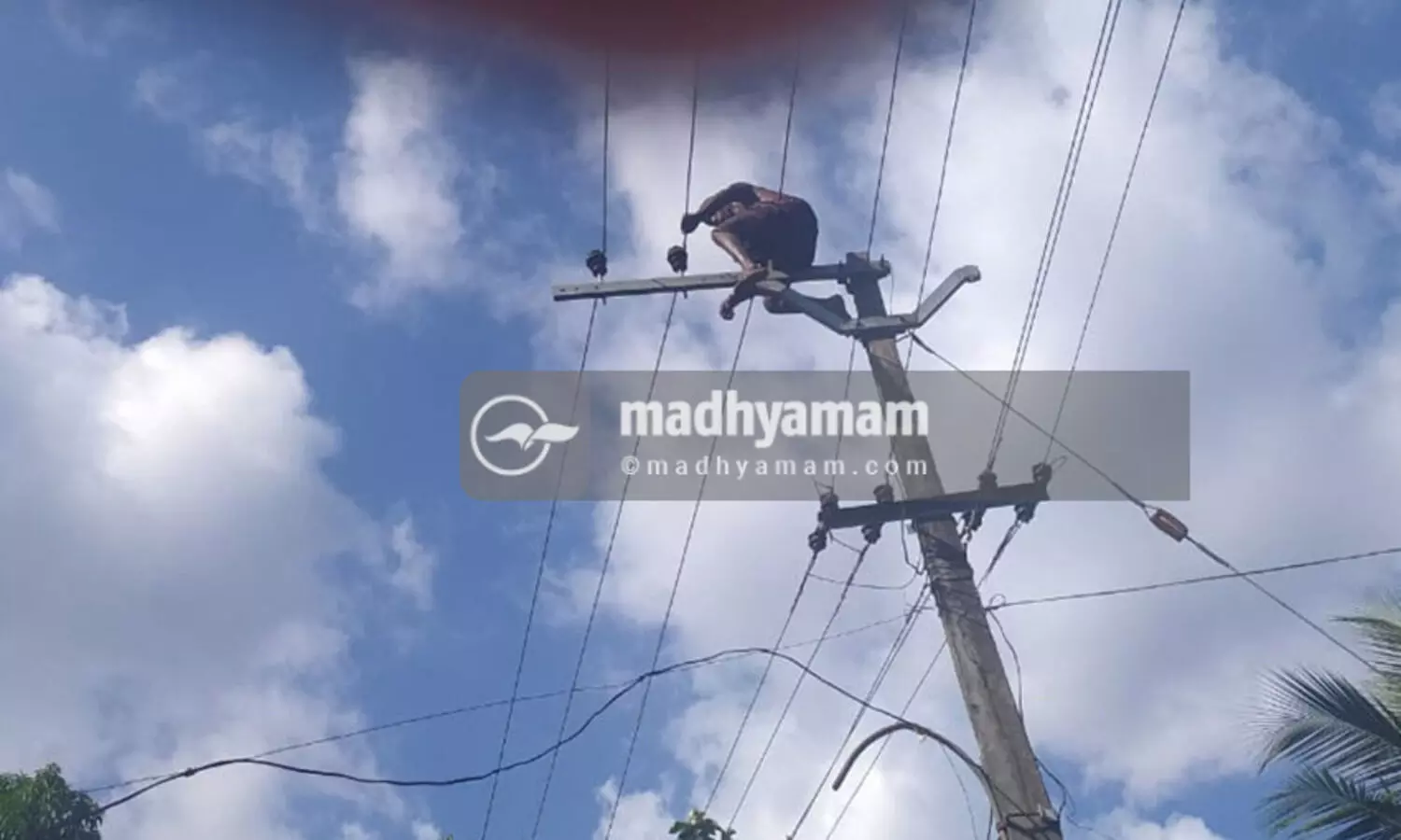 പിണങ്ങിപ്പോയ ഭാര്യ തിരികെ വരാൻ 11 കെ.വി ലൈനിൽ കയറി ആത്മഹത്യ ഭീഷണി; അഞ്ച്​ മണിക്കൂർ​ നേരം നാട്​ മുൾമുനയിൽ