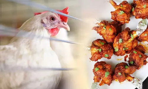 കോഴി വിൽപന നിരോധിച്ചത് പുനരാലോചിക്കണം; നന്നായി വേവിച്ചാൽ കഴിക്കാമെന്നും കേന്ദ്ര സർക്കാർ