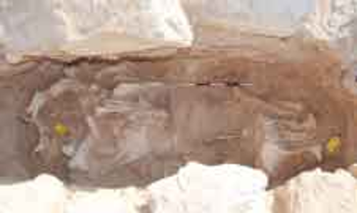 പ​​ര്യ​വേ​ക്ഷ​ണ​വു​മാ​യി ഖ​ത്ത​ർ മ്യൂ​സി​യം​സ്: അ​സ്സെ​യ്​​ല​യി​ൽ സു​പ്ര​ധാ​ന പു​രാ​ത​ന അ​വ​ശി​ഷ്​​ട​ങ്ങ​ൾ