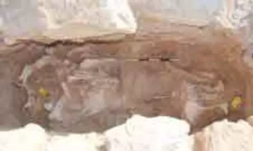 പ​​ര്യ​വേ​ക്ഷ​ണ​വു​മാ​യി ഖ​ത്ത​ർ മ്യൂ​സി​യം​സ്: അ​സ്സെ​യ്​​ല​യി​ൽ സു​പ്ര​ധാ​ന പു​രാ​ത​ന അ​വ​ശി​ഷ്​​ട​ങ്ങ​ൾ