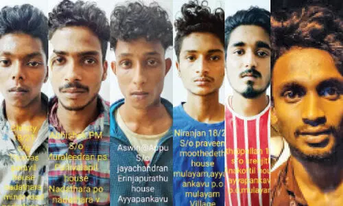 cannabis gang clash accused